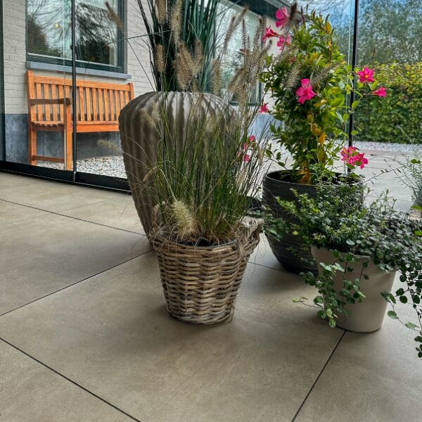Metropole 20MM Beige