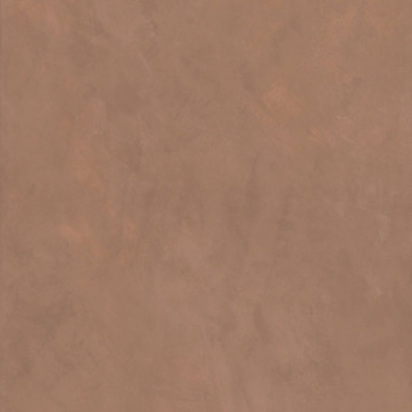 Vida Terra