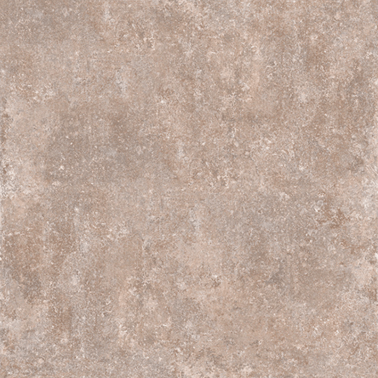 Disegno Moca