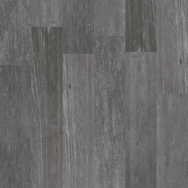 Larix umbra 25x150