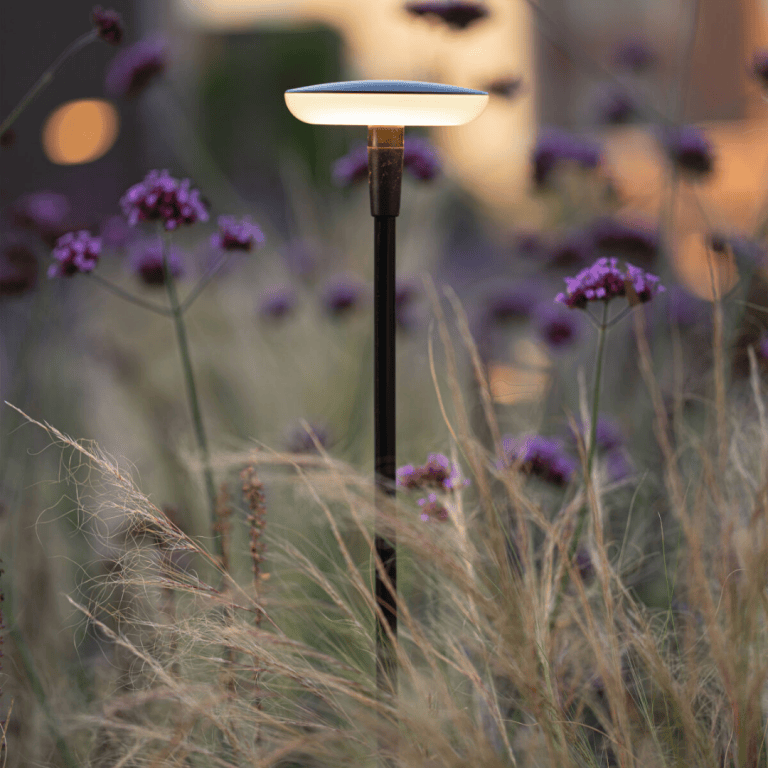 Sway Light Head - Black